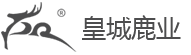 星空游戏网官网入口