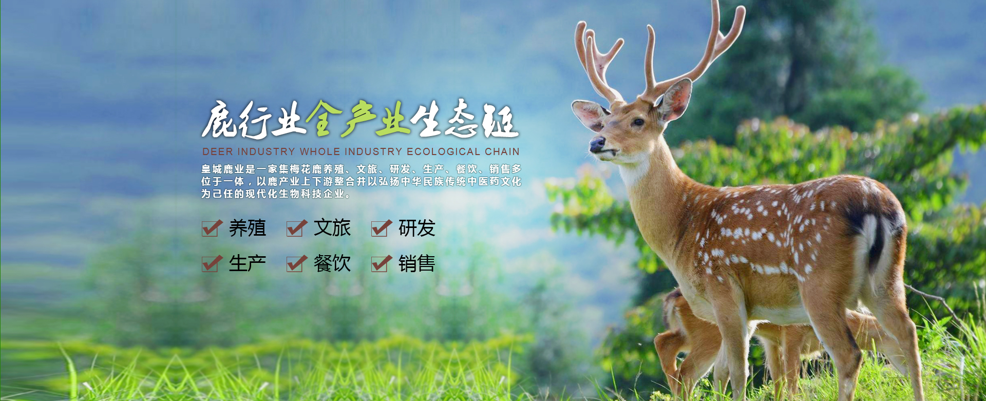 鹿膠價格