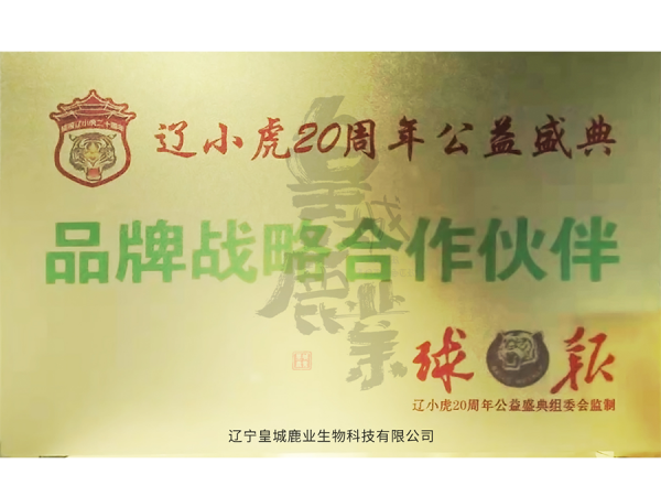 戰略合作夥伴